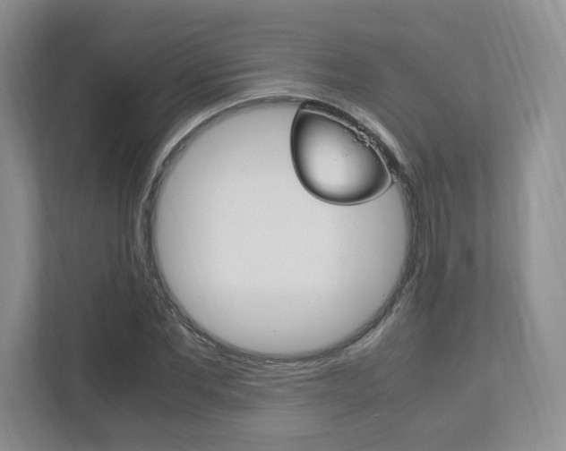 X0000111950877200907271032