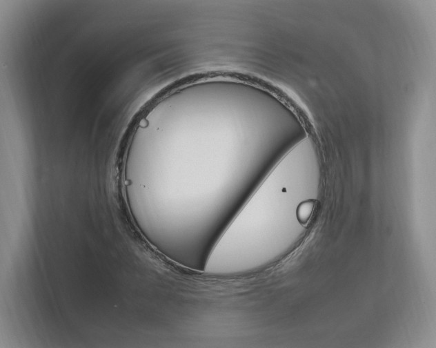 X0000111950879200907271032