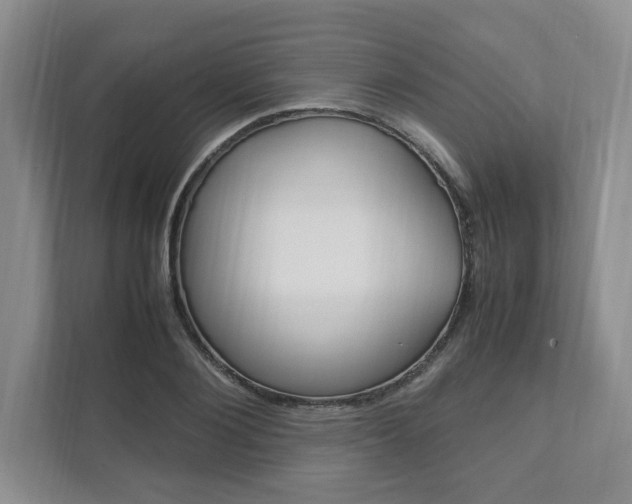 X0000111950884200907271032