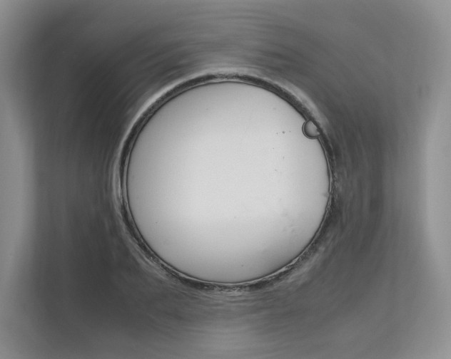 X0000111950887200907271032