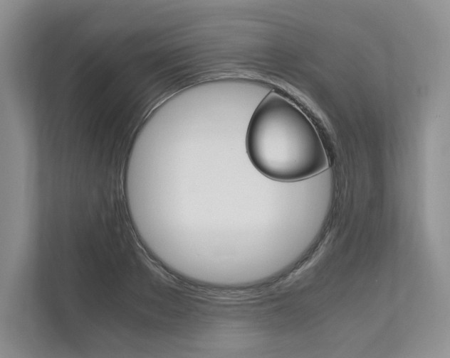 X0000111950889200907271032