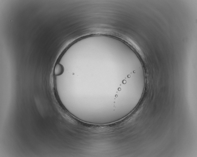 X0000111950891200907271032