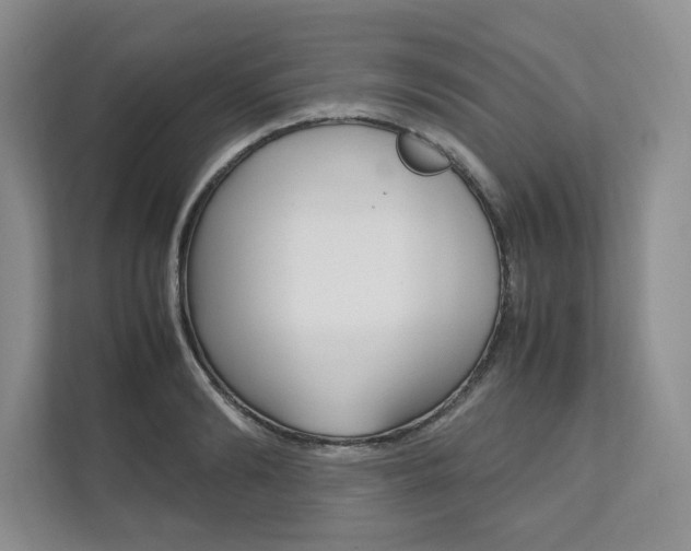 X0000111950894200907271032