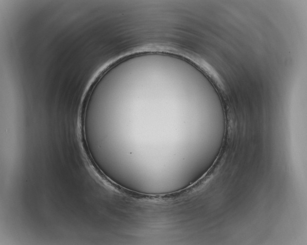 X0000111950896200907271032