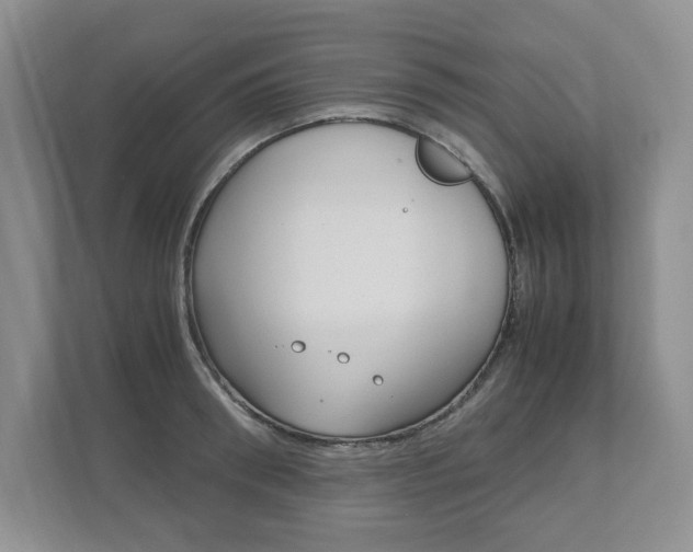 X0000111950898200907271032