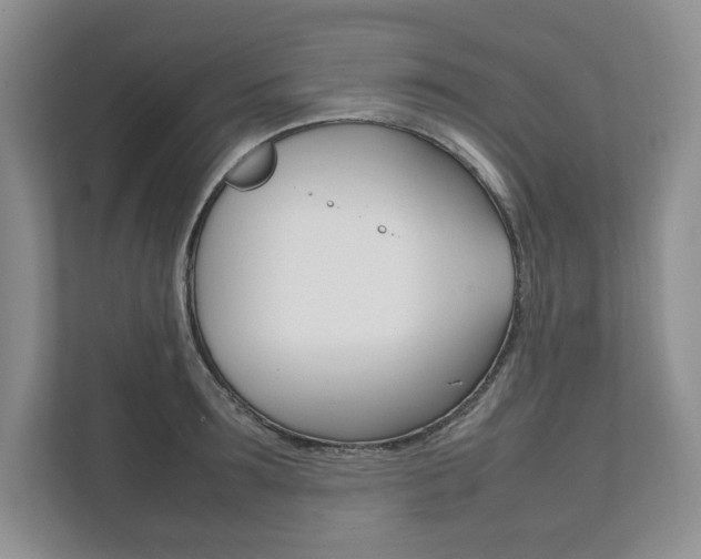 X0000111950899200907271032
