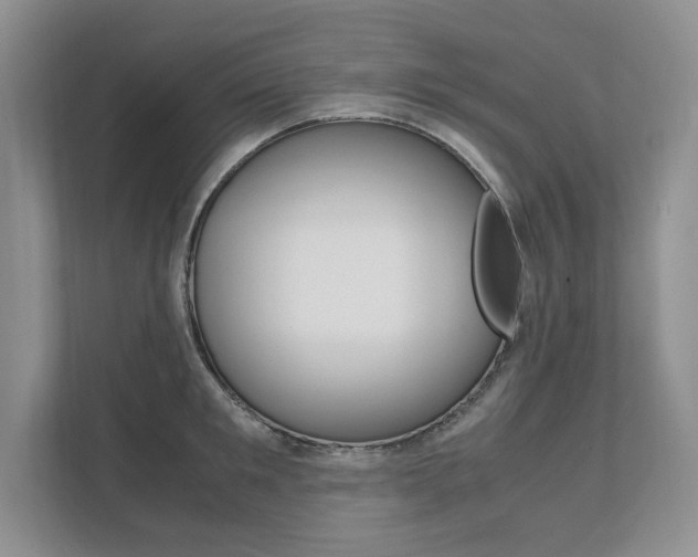 X0000111950901200907271032