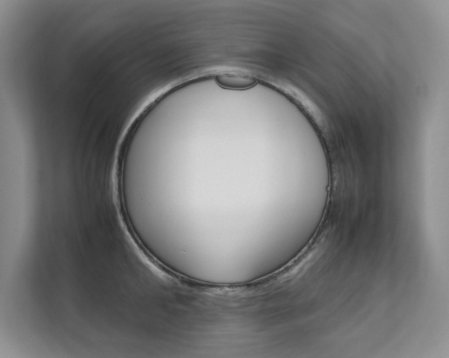 X0000111950902200907271032