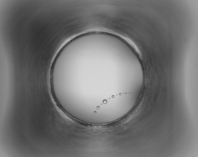 X0000111950903200907271032