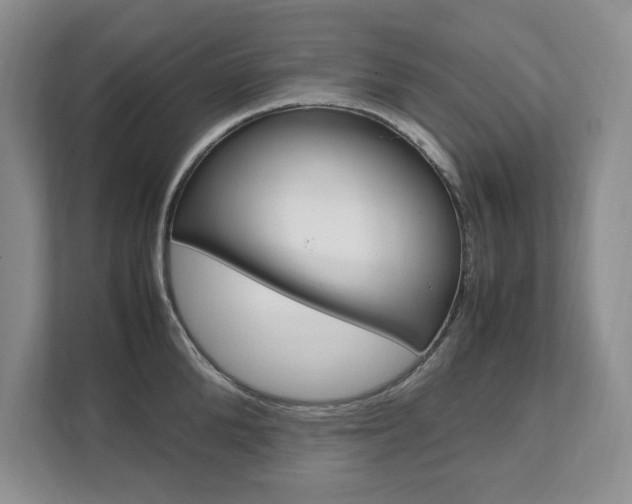 X0000111950904200907271032