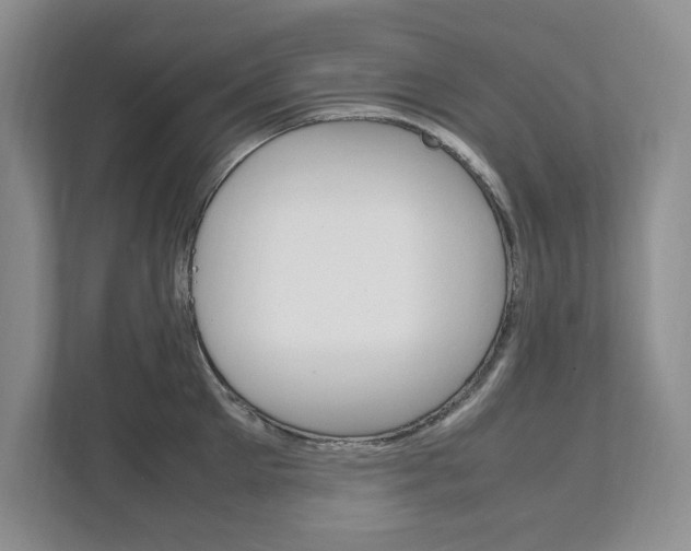 X0000111950905200907271032