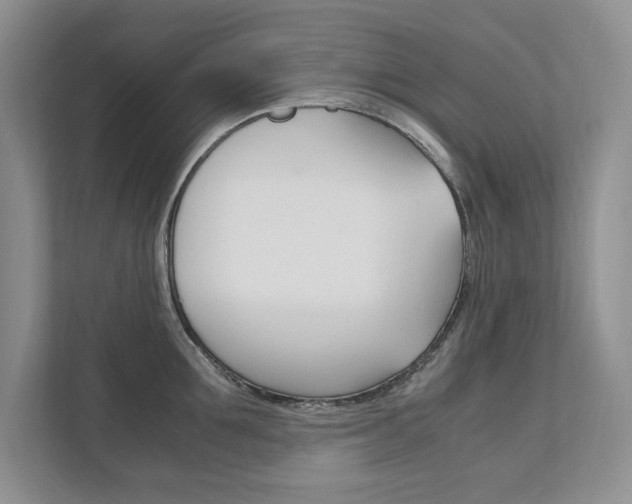X0000111950907200907271032