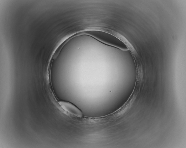 X0000111950908200907271032