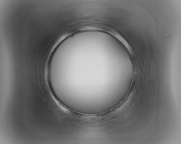 X0000111950909200907271032