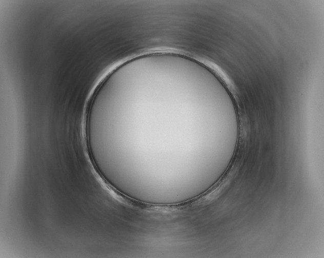 X0000111950910200907271032