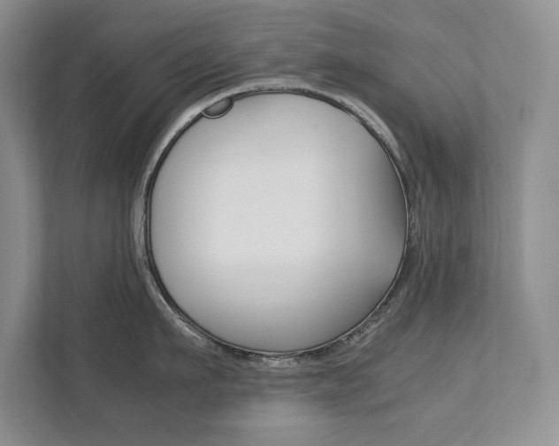 X0000111950911200907271032