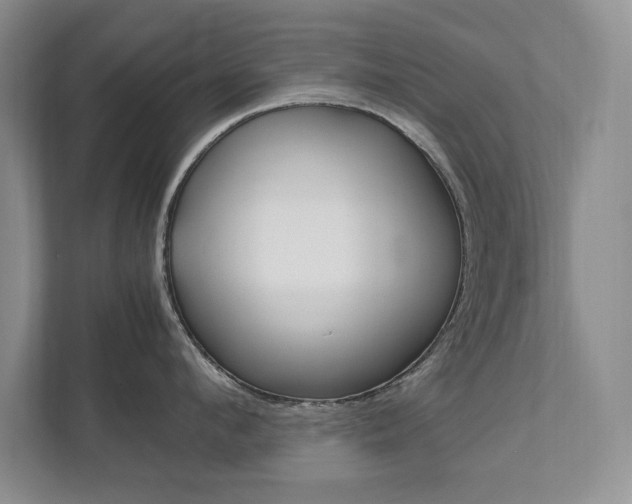 X0000111950912200907271032