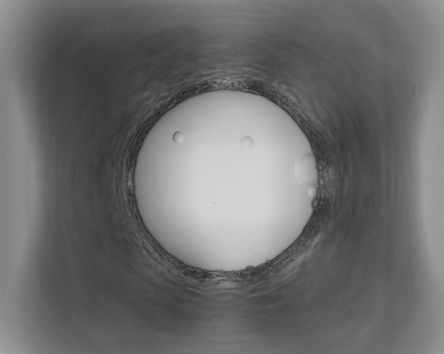 X0000111950913200907271031