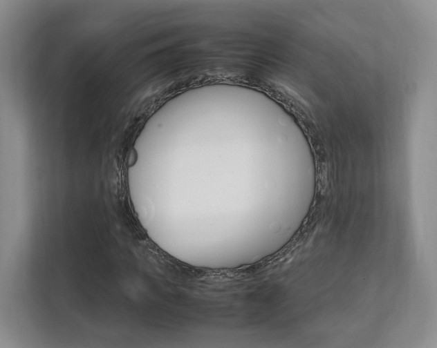 X0000111950917200907271031
