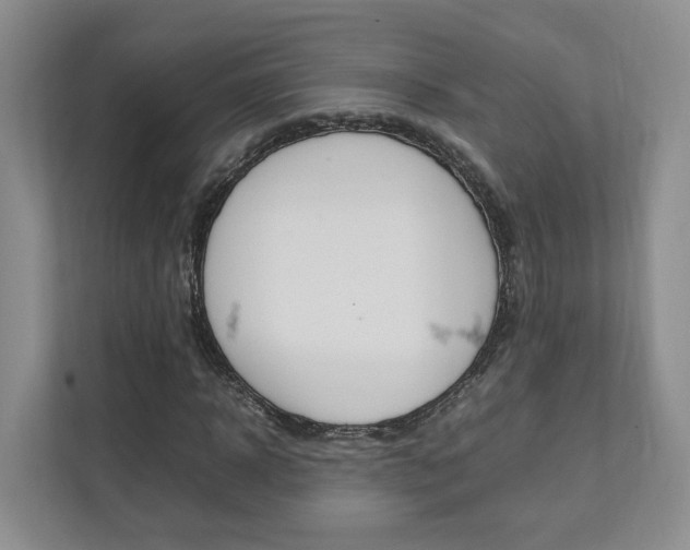 X0000111950918200907271031
