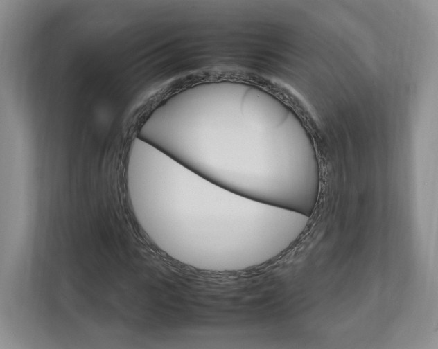 X0000111950919200907271031