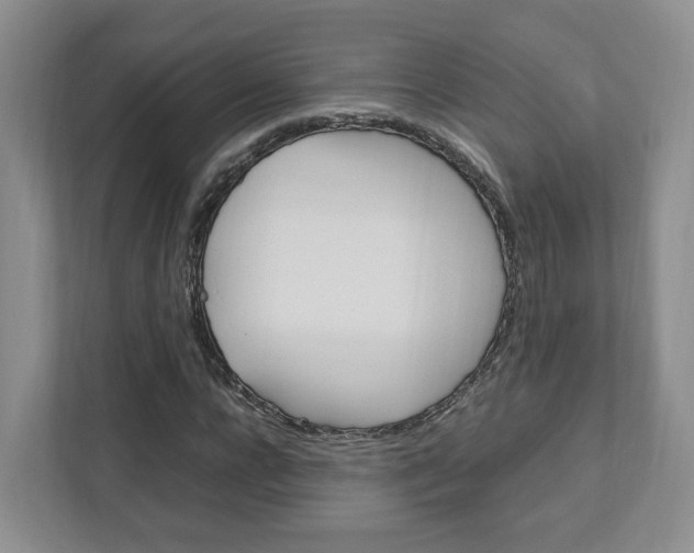X0000111950920200907271031
