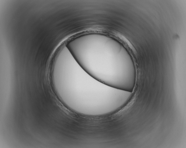X0000111950923200907271031