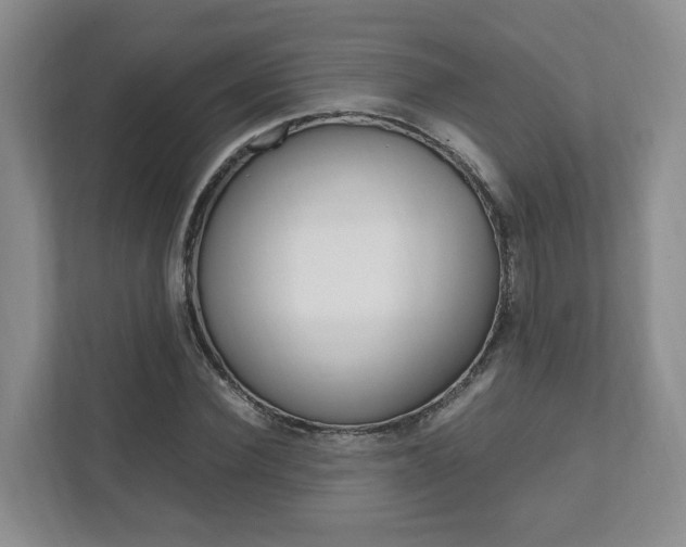 X0000111950924200907271031