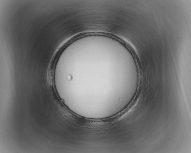 X0000111950925200907271031