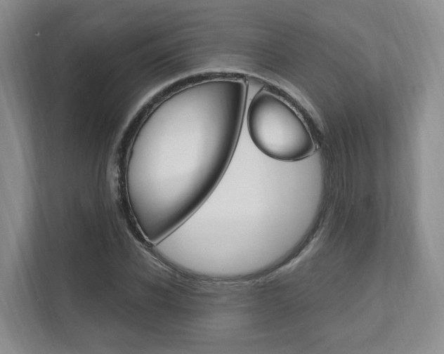 X0000111950926200907271031