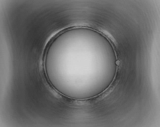 X0000111950928200907271031