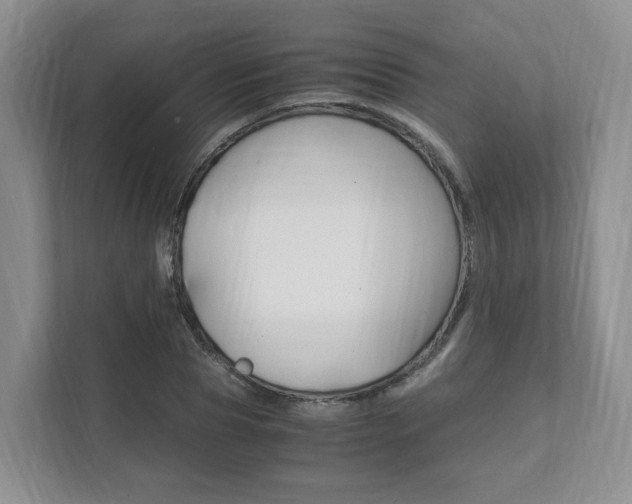 X0000111950929200907271031