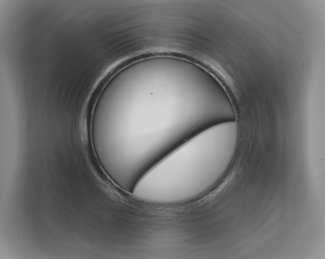 X0000111950934200907271031