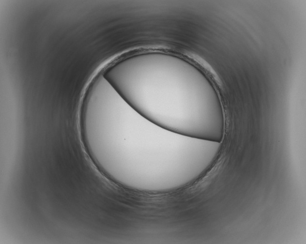 X0000111950935200907271031