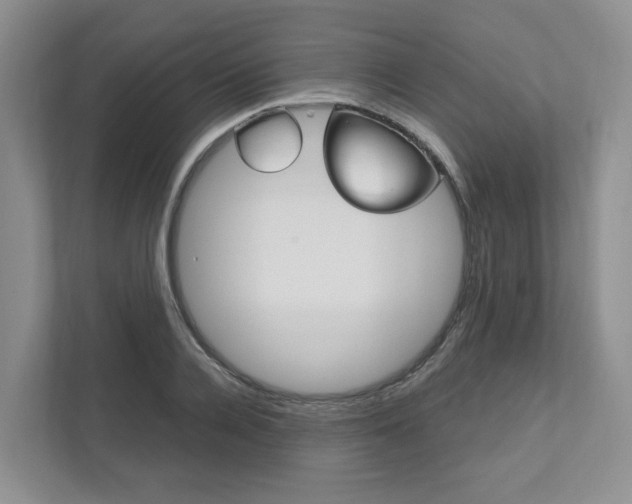 X0000111950936200907271031