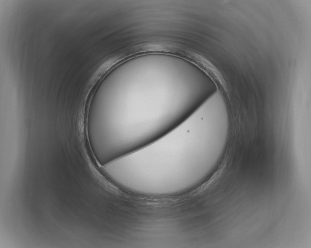 X0000111950938200907271032