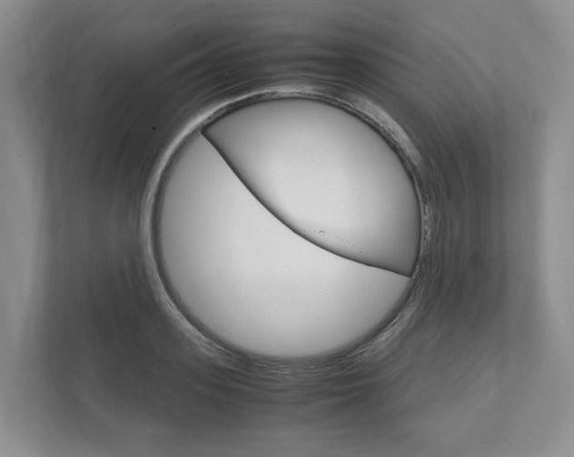 X0000111950939200907271032