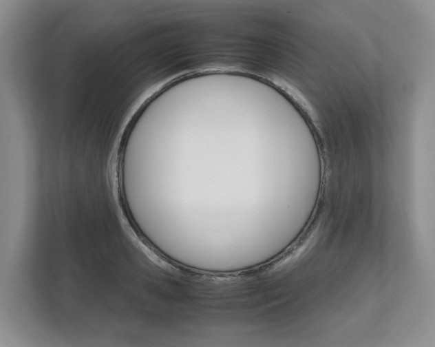 X0000111950941200907271032