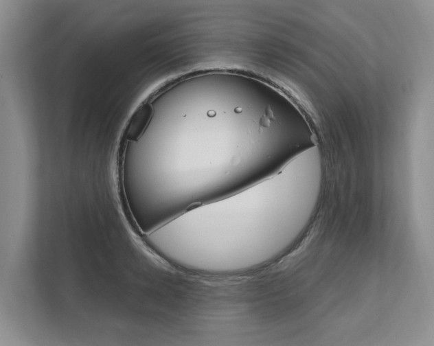 X0000111950942200907271032