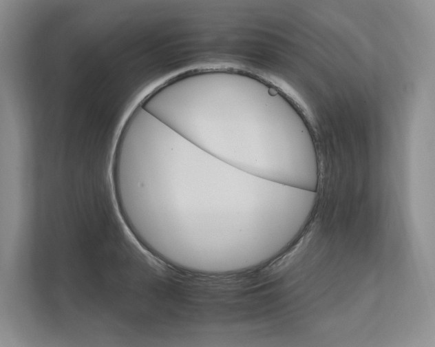 X0000111950943200907271032
