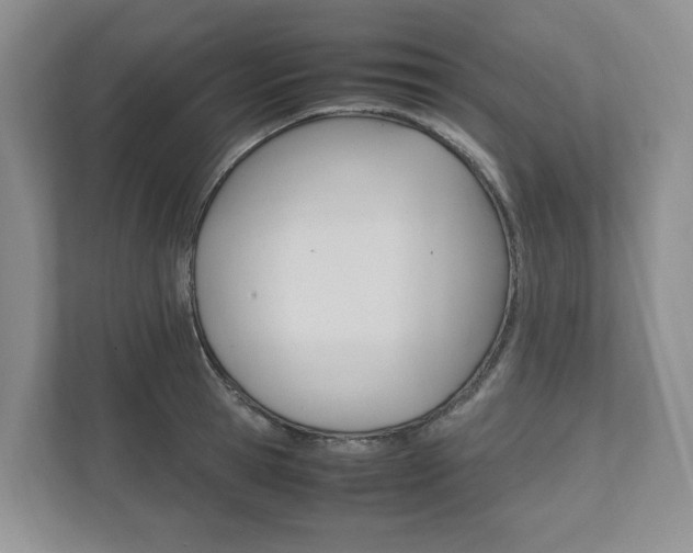 X0000111950945200907271032