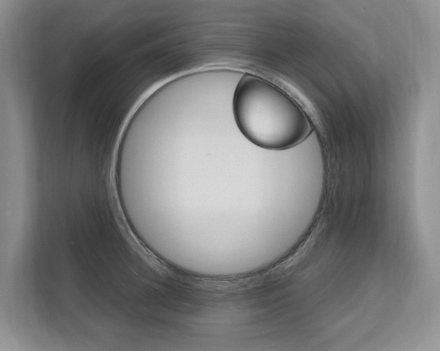 X0000111950948200907271032