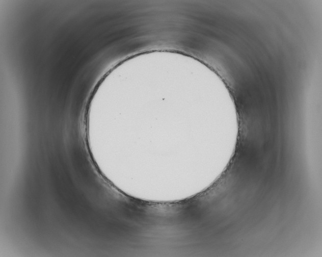 X0000111950950200907271032