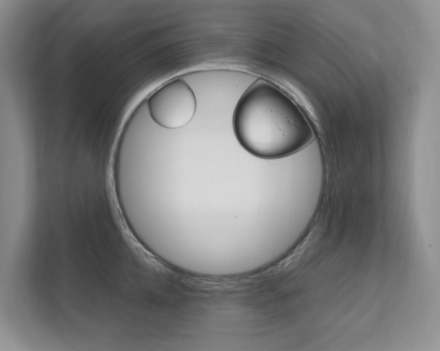 X0000111950952200907271032