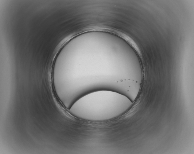 X0000111950954200907271032