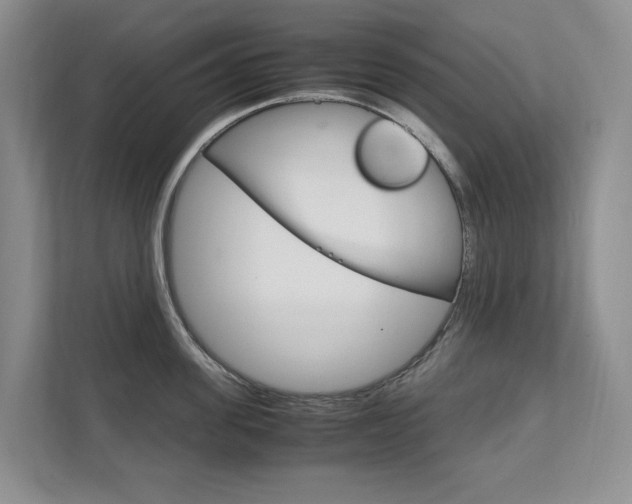X0000111950955200907271032