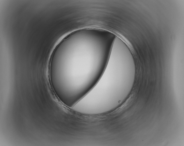 X0000111950956200907271032