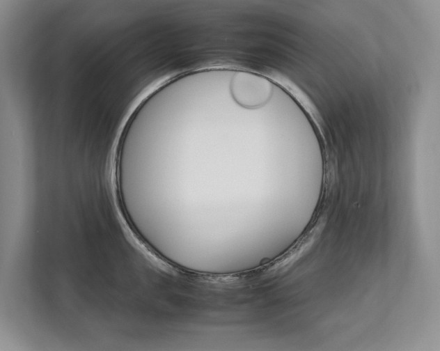 X0000111950957200907271032