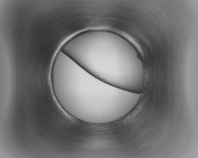 X0000111950959200907271032