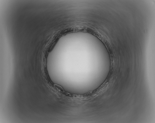 X0000111950961200907271031